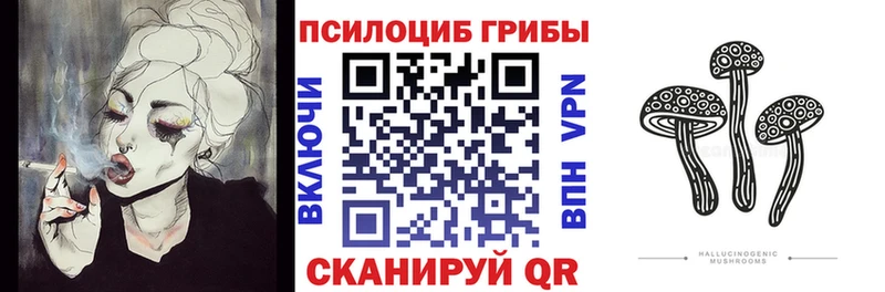 Галлюциногенные грибы MAGIC MUSHROOMS что такое Магас